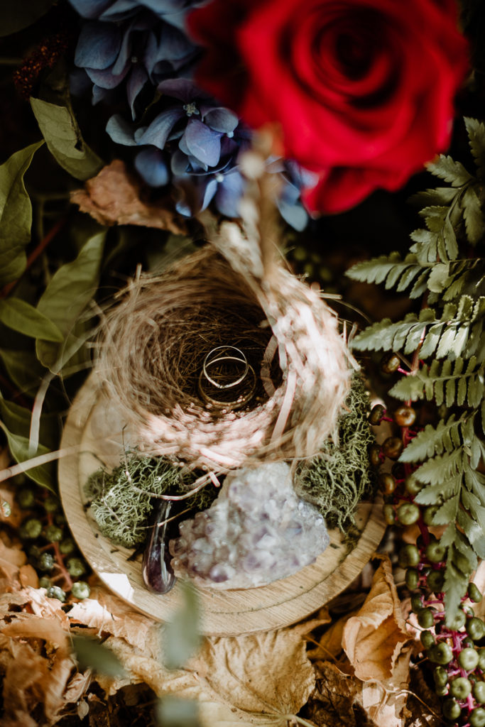 mariage en forêt noces sauvages