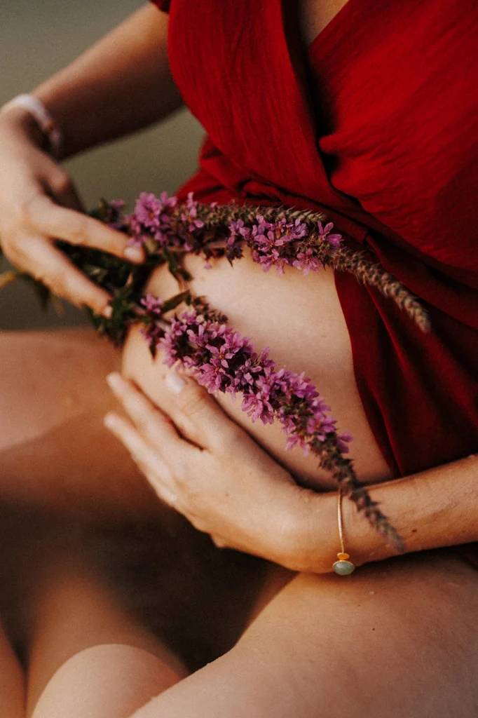 séance photo grossesse à toulouse