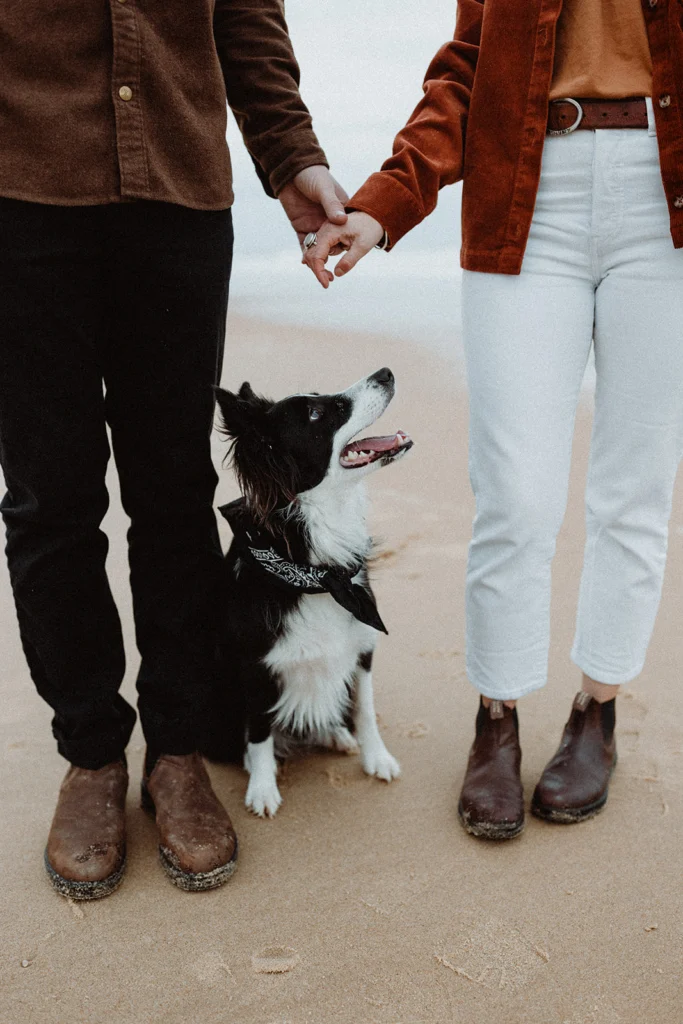 séance photo couple toulouse avec un chien